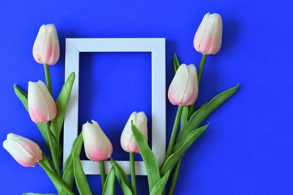 Фоторамка і квіти на синьому фоні класу. рожевий тюльпан . — стокове фото