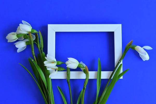 Fotó keret és friss hóvirág egy klasszikus kék háttér.Tavaszi hangulat — Stock Fotó
