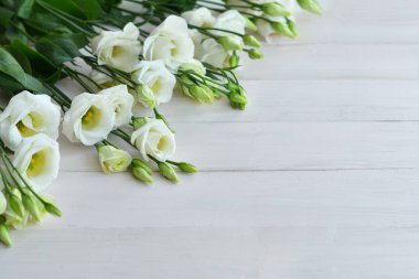 Valentine card.Template greeting card for Valentine's Day. Spring card for Mother's Day, Women's Day. Greeting card with white eustomas .copy space. Congratulations on wedding or anniversary. March 8