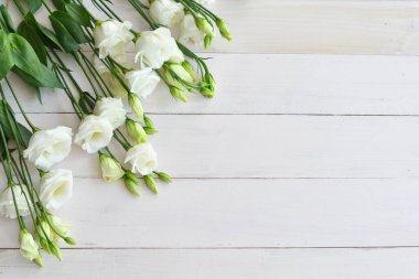 Valentine card.Template greeting card for Valentine's Day. Spring card for Mother's Day, Women's Day. Greeting card with white eustomas .copy space. Congratulations on wedding or anniversary. March 8