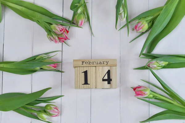 February 14 text on wooden block calendar and pink Tulips. Greeting card with pink Tulips .Spring card template. Women\'s Day. Greeting card for mother\'s day. Flower card. Copy space. Selective focus