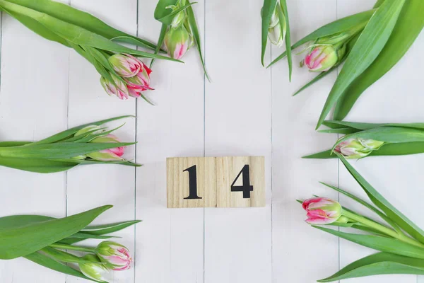 Február 14 szöveg fa blokk naptár és rózsaszín tulipán. Üdvözlőlap rózsaszín tulipánokkal.Tavaszi kártya sablon. Nők napja. Üdvözlőlap anyák napjára. Virágkártya. Másold a helyet. Szelektív fókusz — Stock Fotó