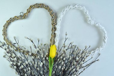 Yumuşak söğüt dalları, sarı laleler ve beyaz bir arka planda hasır kalp. Palm Sunday. Anneler Günü için bahar kartı, Kadınlar Günü. Şablon tebrik kartı. Boşluğu kopyala. Seçici odak