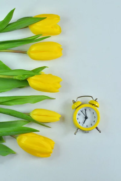 Tulipanes Amarillos Despertador Amarillo Sobre Fondo Blanco Humor Primavera Tarjeta — Foto de Stock