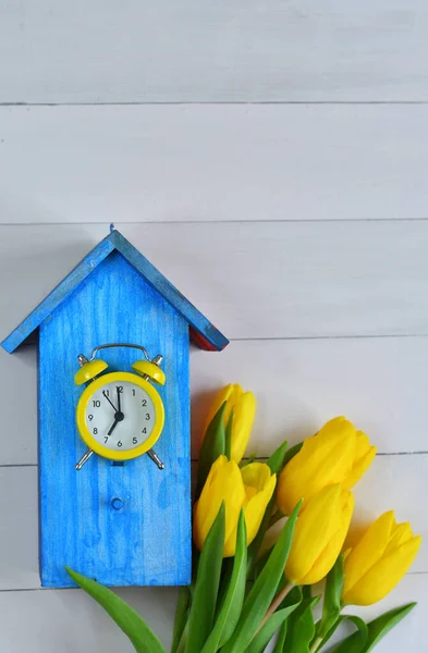 Sárga Tulipán Világos Kék Madárház Rózsaszín Háttérrel Kép Csomagokhoz Tavaszi — Stock Fotó