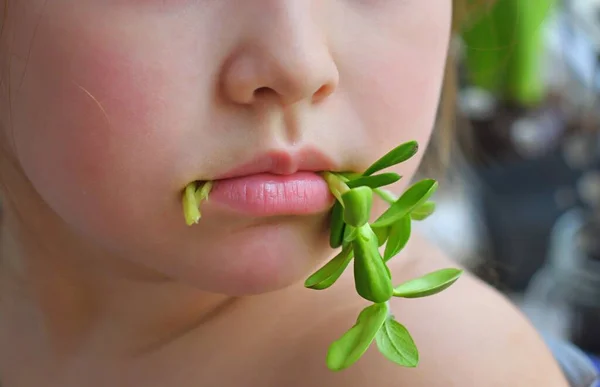 Menina Come Girassol Microgreen Primavera Avitaminosis Sprout Legumes Germinados Sementes — Fotografia de Stock