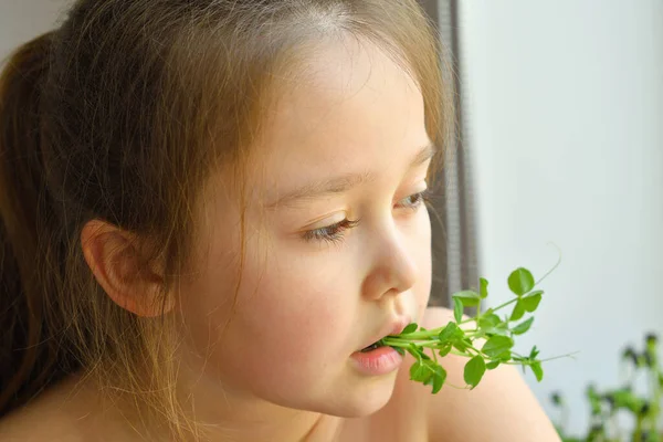 Счастливая Девочка Ест Горох Микрозеленый Вегетарианский Хороший Аппетит Весна Avitaminosis — стоковое фото
