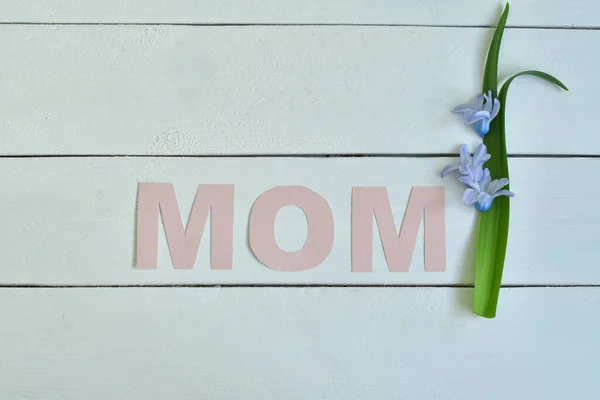 Mom Λέξη Γίνεται Πέταλα Λουλουδιών Και Φύλλα Ημέρα Της Μητέρας — Φωτογραφία Αρχείου