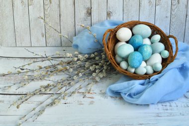 Hasır bir sepette mavi Paskalya yumurtaları ve arka planda söğüt çiçekleri. Doğal olarak mermer taşlı amber çiçeğiyle boyanmış yumurtalar. Eko boya. Mutlu Paskalya kartları. Seçmeli odaklanma..