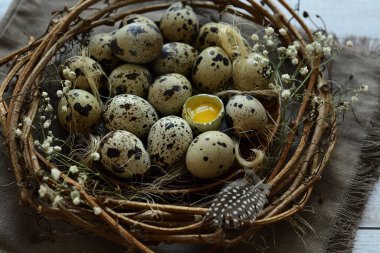Üzüm dallarının Paskalya çelengi, çingene, bıldırcın tüyü ve kahverengi keten peçetenin üzerinde yumurtalar. Tebrik mesajı için boşluk kopyala, Mutlu Paskalyalar kartı, üst görünüm. seçici odak