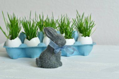 Karton tepside yumurta kabukları içinde yeşil buğday filizleri. Kapat. Paskalya süsleri. Paskalya yumurtası. Bahar kompozisyonu. Bahar geldi. Bahar arkaplanı. Seçmeli odak