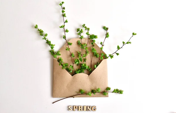 Jarní Kompozice Obálkou Zeleným Větvičkovým Bílým Pozadím Text Spring Dřevěným — Stock fotografie