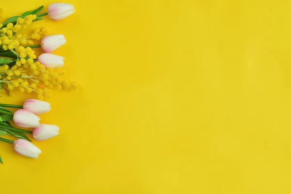 Våren Blommor Tulpaner Och Mimosa Gul Bakgrund Bild För Paket — Stockfoto