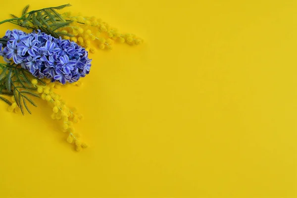 Tavaszi Virágok Kék Jácint Mimóza Sárga Alapon Tavaszi Kompozíció Tavaszi — Stock Fotó