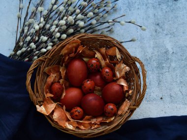 Kırmızı yumurtaların Paskalya kompozisyonu ve çimento arka planında çiçek açan bir ağacın dalları. Doğal olarak soğan kabuğuyla boyanmış yumurta. Eko boyası. Mutlu Paskalyalar. Düz katman. Boşluk Seçici odağı kopyala.