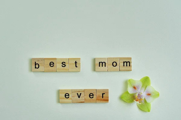 Best Mom Ποτέ Κείμενο Λεπτή Ορχιδέα Λουλούδι Στο Φως Φόντο — Φωτογραφία Αρχείου