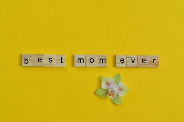 Mejor Mamá Siempre Texto Con Delicada Flor Orquídea Sobre Fondo —  Fotos de Stock