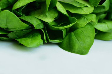 Beyaz arka planda sulu taze ıspanak. Taze organik çiğ yeşillikler. Vejetaryen, vejetaryen konsepti. Avitaminosis. Detokslu içecek Macro için malzemeler. Seçici odak