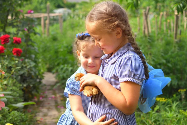 Две Счастливые Маленькие Улыбающиеся Девочки Сестры Держат Своих Кур Сельской — стоковое фото