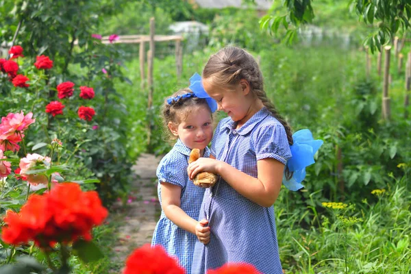 Дві Щасливі Маленькі Усміхнені Сестри Дівчата Тримають Своїх Курей Сільській — стокове фото