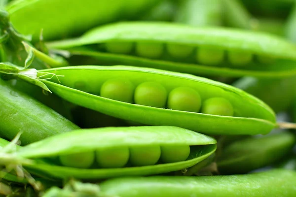 新鲜成熟的青豆的新收获 绿色豌豆和豌豆豆荚在木制背景上 特写选择性聚焦 — 图库照片