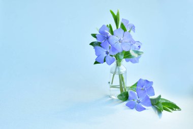 Açık arkaplanda bir bardak menekşe rengi.