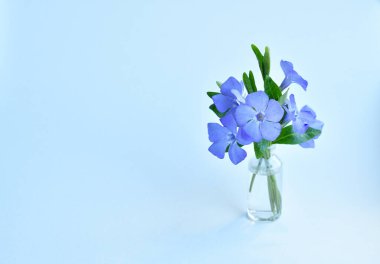 Açık arkaplanda bir bardak menekşe rengi.