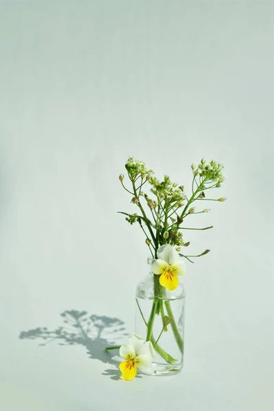 Closeup of the bouqCloseup of the bouquet of wild pansy in the small jar of water on the light backgrounduet of wild pansy in the small jar of water on the light background