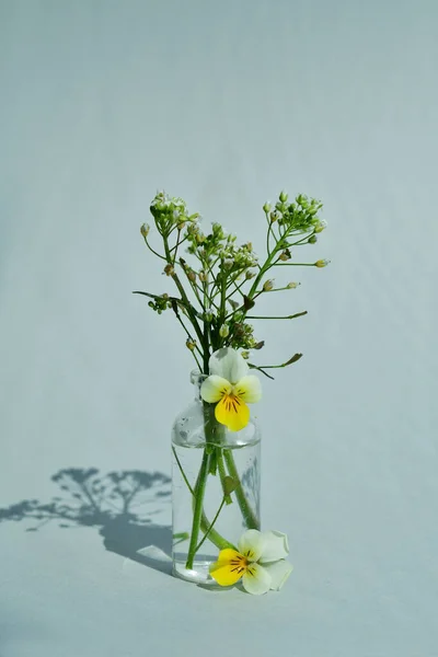 Close Bouquet Wild Pansy Small Jar Water Light Background Selective — стоковое фото