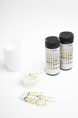 Temel idrar reaktörü test kiti.