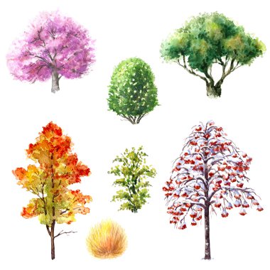 Trees and shrubs during different seasons clipart