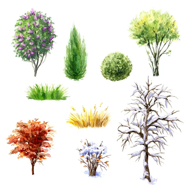 Árvores e arbustos durante diferentes estações — Fotografia de Stock