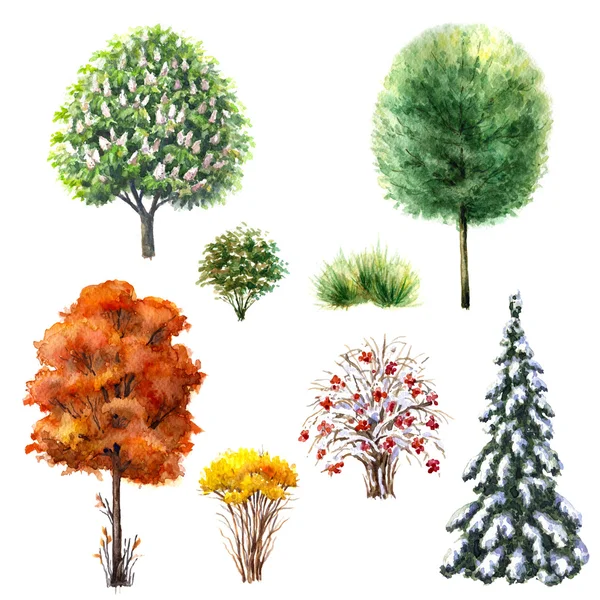 Trees and bushes  during different seasons — Stock Photo, Image