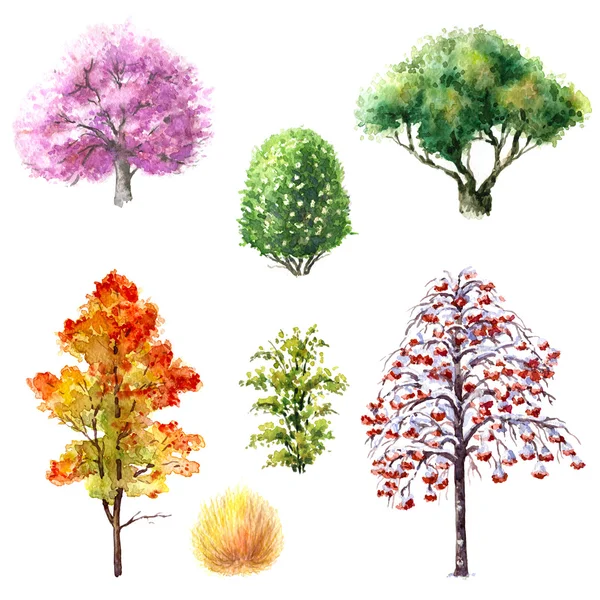 Trees and shrubs during different seasons — Stock Photo, Image