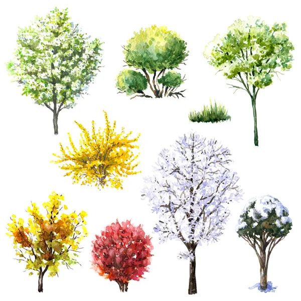 Trees and bushes during different seasons — Stock Image Trees and bushes during different seasons Stock Image