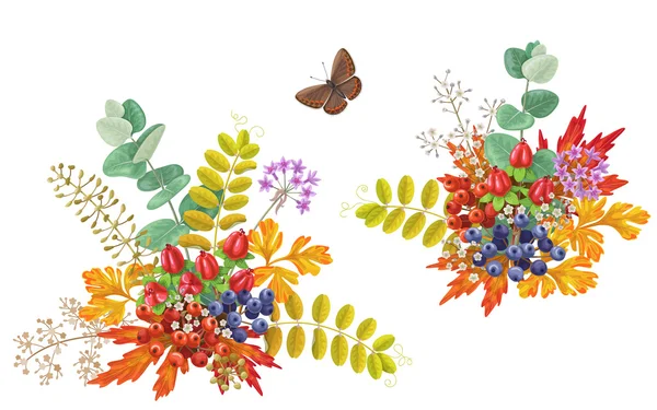 Ramos de otoño con flores, bayas y mariposas — Vector de stock