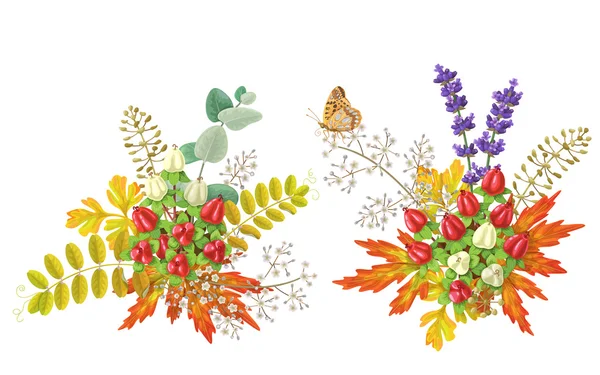 Çilek ve kelebek ile sonbahar buketleri — Stok Vektör