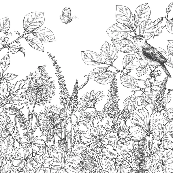 Flores silvestres, mariposas y aves dibujadas a mano . — Vector de stock