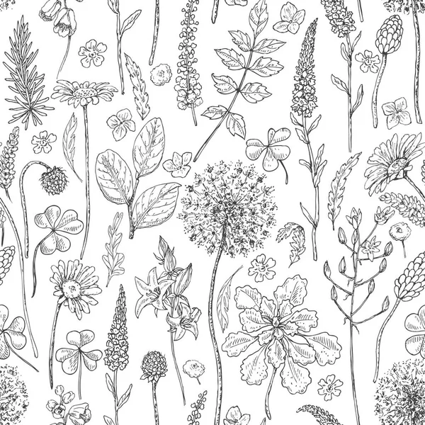 Modèle sans couture avec des fleurs sauvages — Image vectorielle
