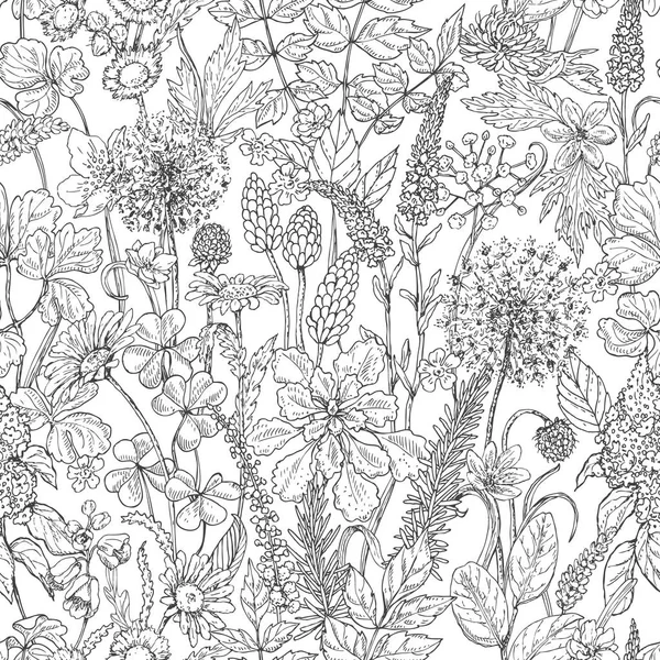Modèle sans couture avec des fleurs sauvages — Image vectorielle