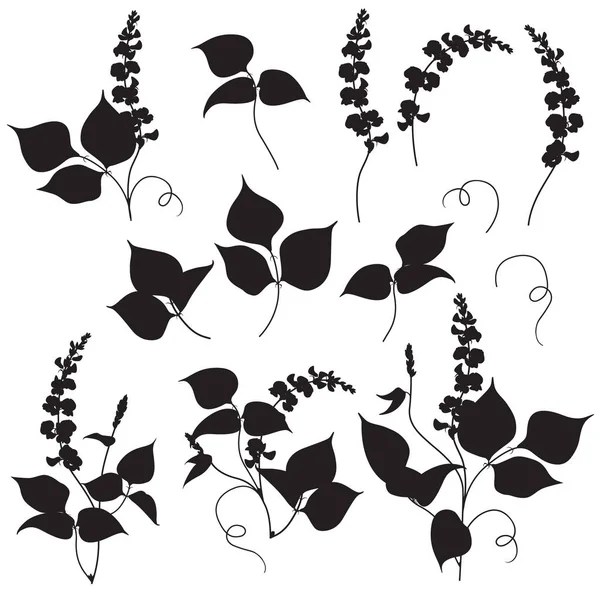 Elementos florais conjunto silhueta —  Vetores de Stock