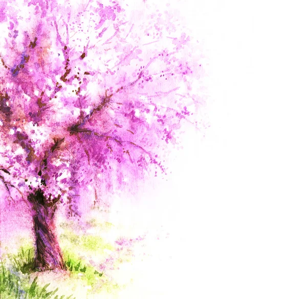 pembe sakura ağacı