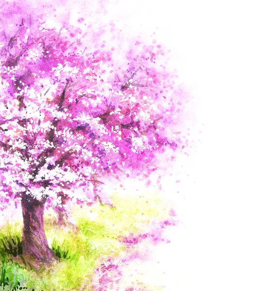 Bloeiende Sakura boom. — Stockfoto