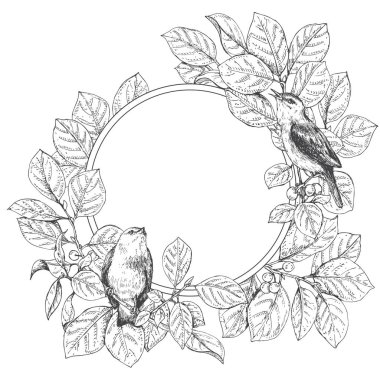 Kuşlar ile yuvarlak çerçeve