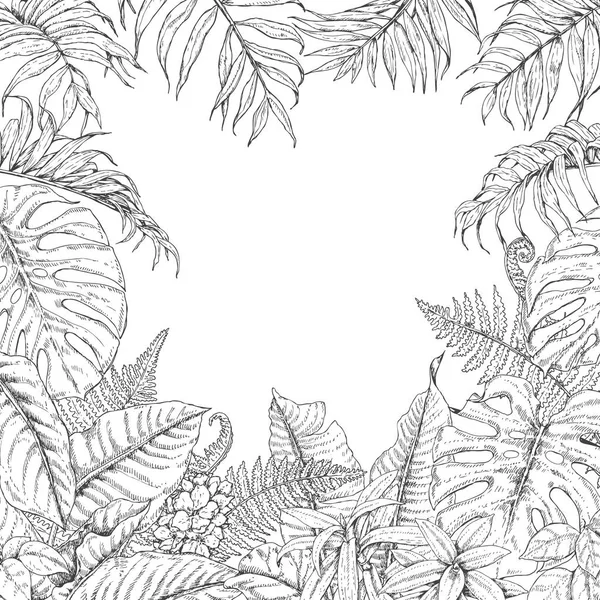 Tropické rostliny rám — Stockový vektor