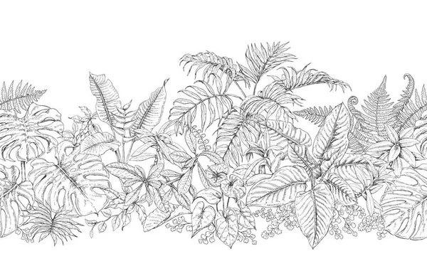 Patrón horizontal de la línea de plantas tropicales — Vector de stock