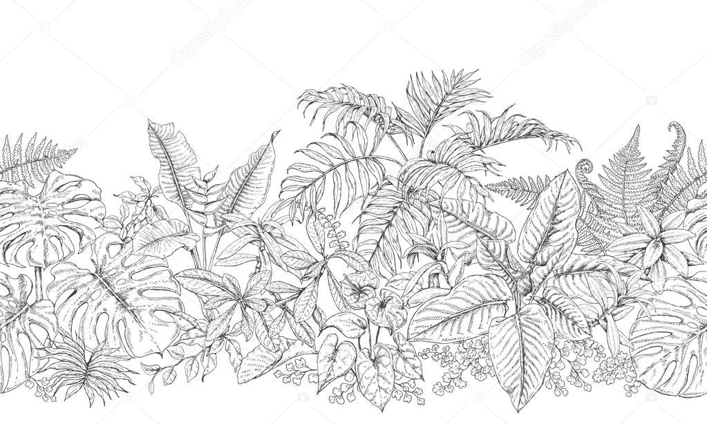 Tropical Plants Line Horizontal Pattern