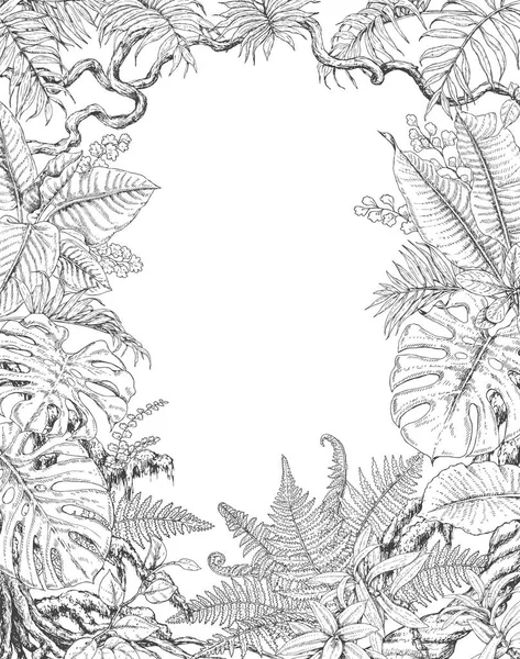 Ručně tažené tropické rostliny rám — Stockový vektor