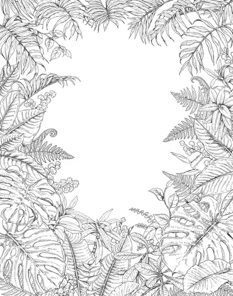 Cadre de plantes tropicales dessinées à la main — Image vectorielle