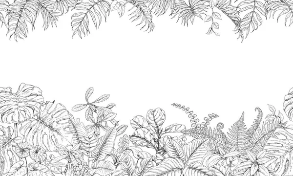 Tropické rostliny vodorovná čára — Stockový vektor